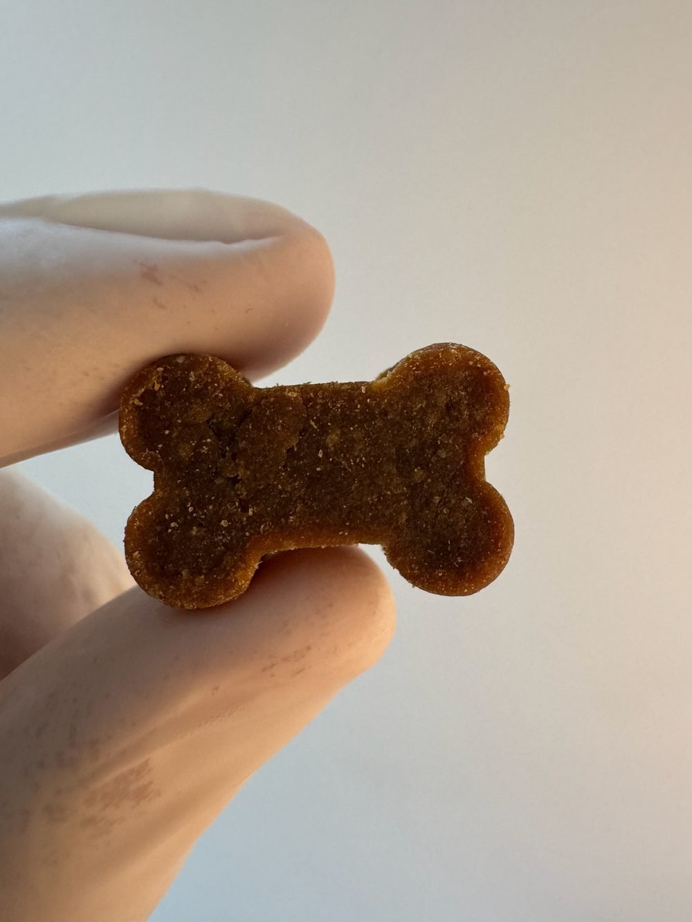 Biscoito medicinal